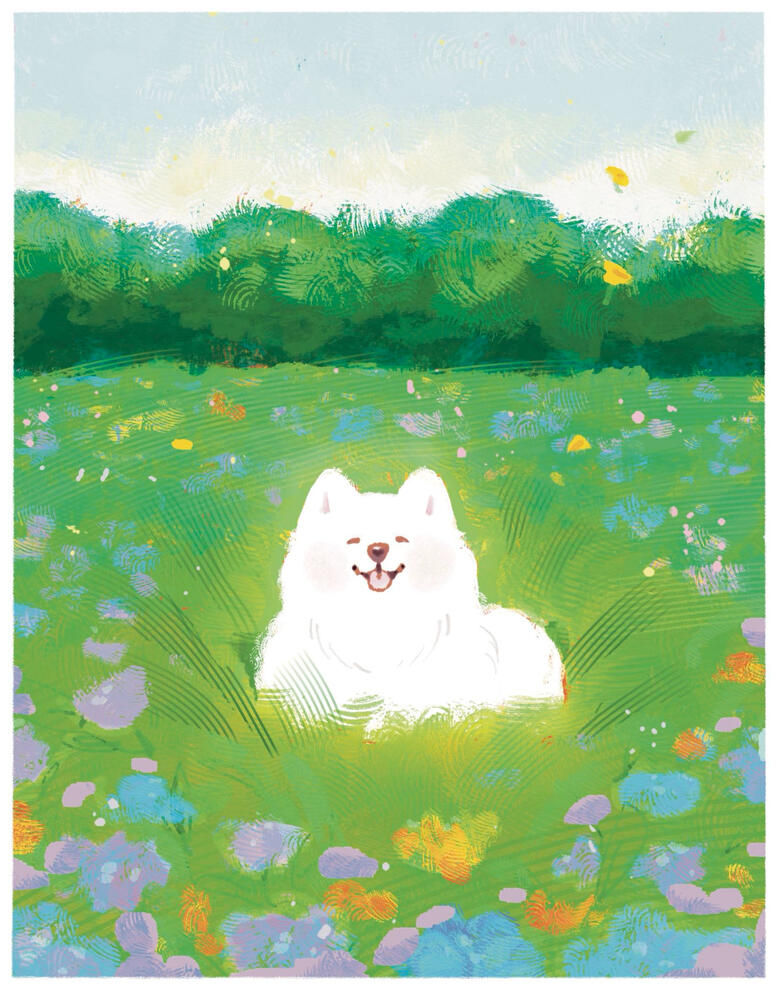 flower field print