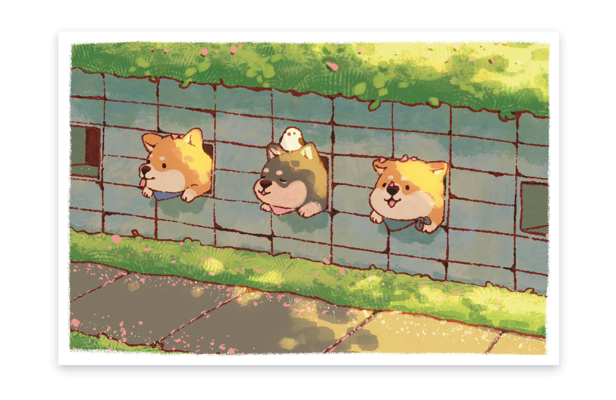 full background full background