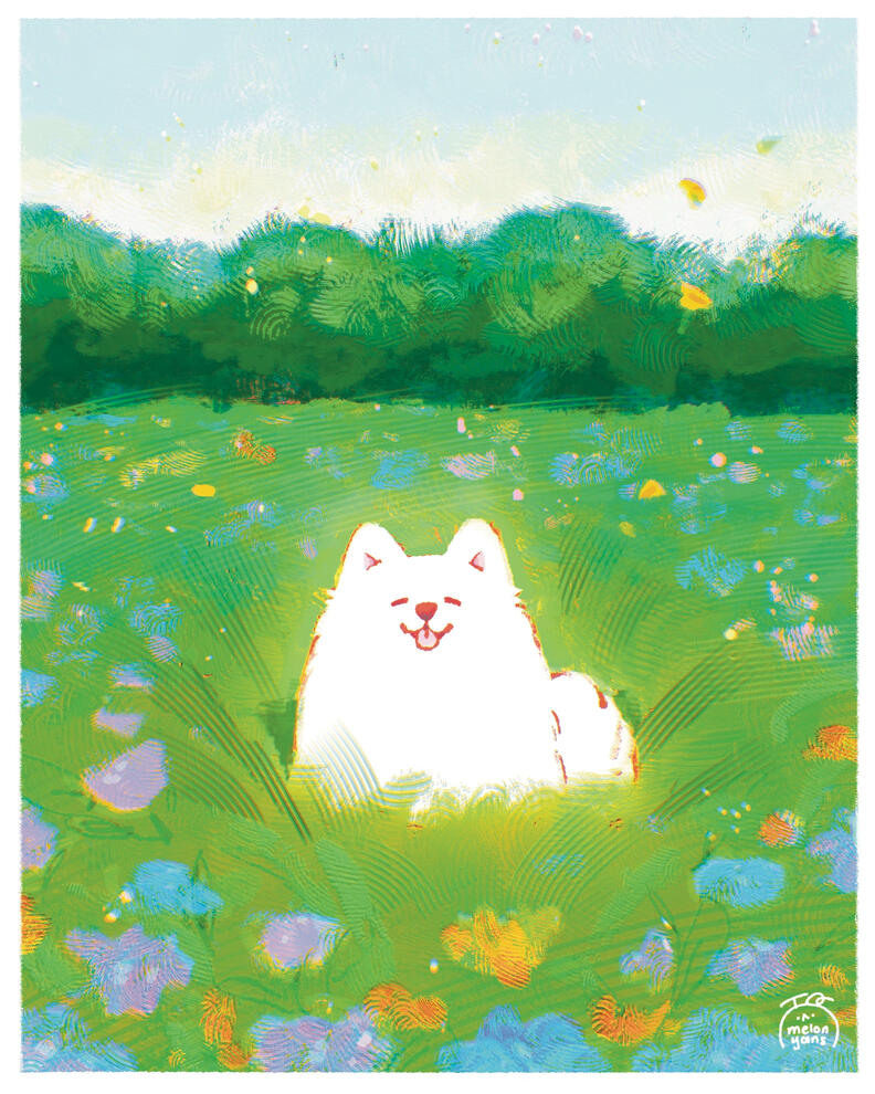 flower field - nov 2025