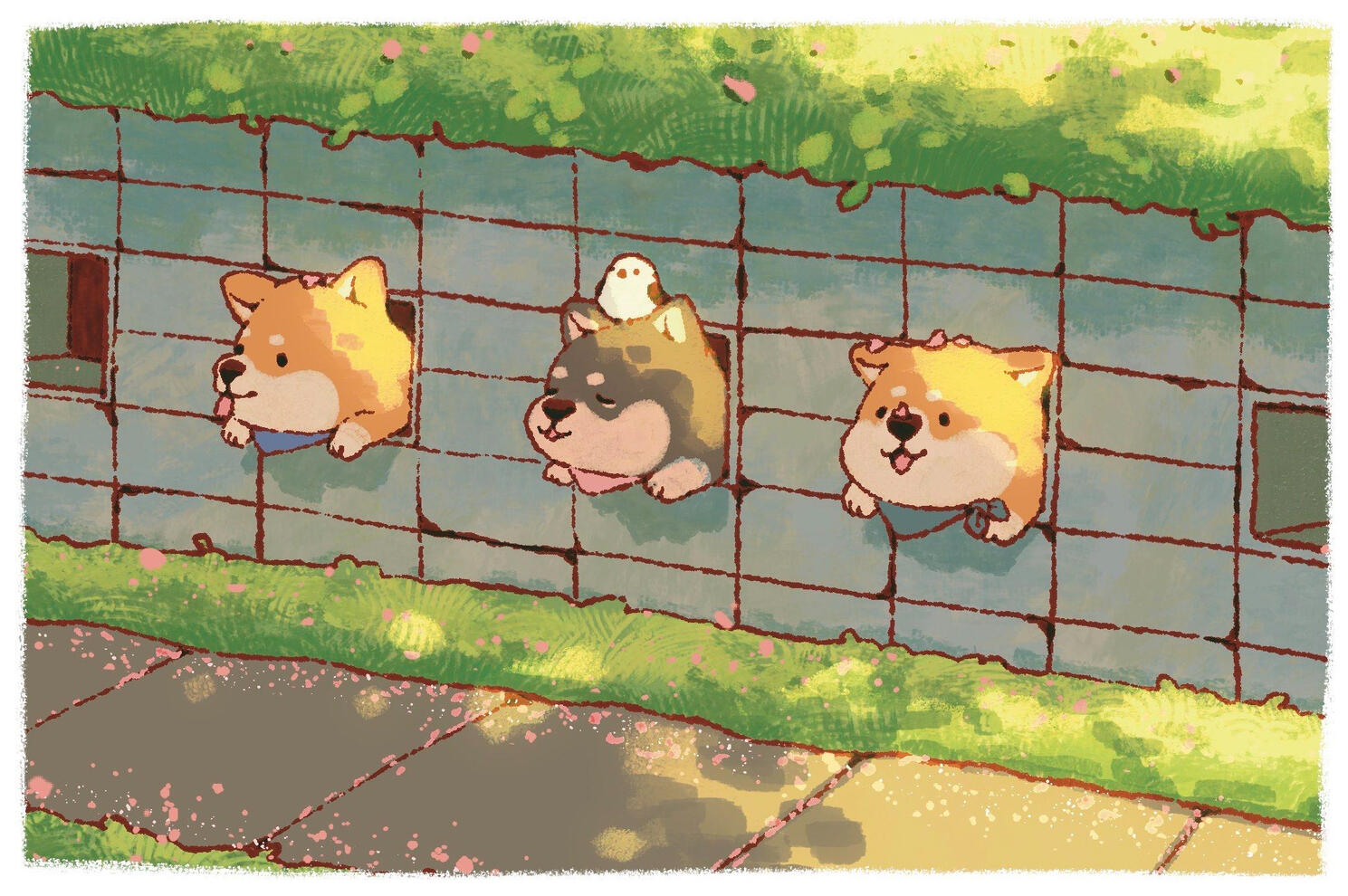 peeking shibas print